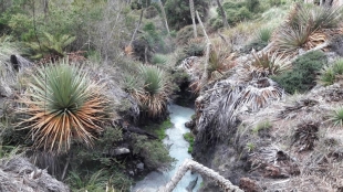 Imagen Complejo Aguas hediondas
